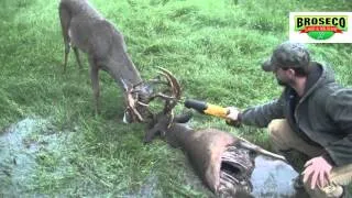 Broseco Ranch Locked Up Bucks