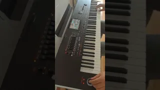 Despacito （on korg pa4x）