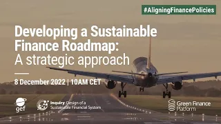 Developing a Sustainable Finance Roadmap: A strategic approach