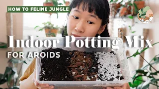Best Potting Soil Mix for Indoor Plants | Easy DIY Soil Mix (Even for Beginners!)