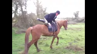 Suir Vale Harriers Hunt Drombane March 2018