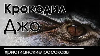 ИНТЕРЕСНЫЙ ХРИСТИАНСКИЙ РАССКАЗ "Крокодил Джо" | Христианские рассказы