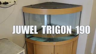 Угловой аквариум Juwel Trigon 190 Купил Б/У на авито