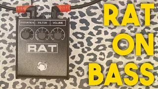 Proco: Rat 2 - On Bass | Amateur Effects Reviews