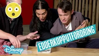 Descendants 2 | Edderkopputfordring med Thomas Doherty & Booboo Stewart 🕷- Disney Channel Norge
