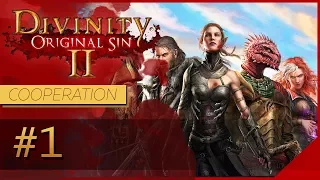 Divinity: Original Sin 2 - Кооператив. Заходи, тут лампово.