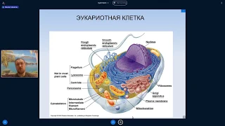 Михаил Никитин. Лекция 12. Происхождение эукариотной клетки.