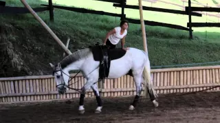 Volteo, destreza acrobática sobre el caballo