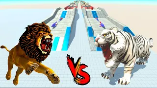 TIGER SIBERIAN vs LION KING RACE BATTLE COMPETITION - Animal Revolt Battle Simulator