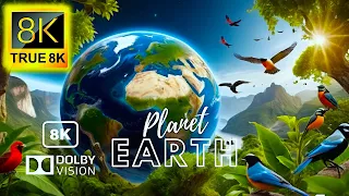 Planet Earth 8k Videos Ultra HD 120fps | TRUE 8K - 8K UHD VIDEOS