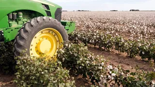 How Cotton Is Farmed | Georgia Cotton