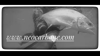 Spearfishing Croatia - Neo Carbone - " Spring Time "