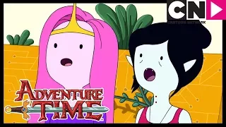 Adventure Time | Princess Bubblegum and Marceline the Vampire Queen's Mission | Cartoon Network