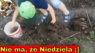 Niedziela w Polu! Farmerskie Pyrki! | Staw po 2 tygodniach od wykopania.