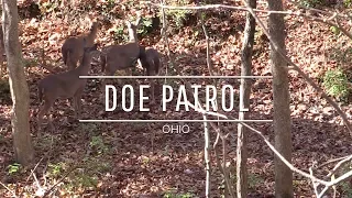 Doe Patrol: Ohio Self Filmed Archery Whitetail Deer Hunt