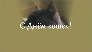 С Днём кошек! И первым днём весны! 1 марта Музыкальная открытка😻