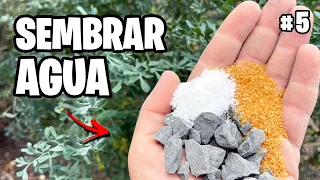 Cómo Sembrar AGUA 💦 + Planto una Paulownia en el Jardín! Vlog #5 | La Huerta de Ivan