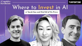 VC Insights on Investing in Artificial Intelligence with Sarah Guo and Elad Gil of No Priors