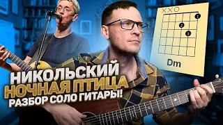 Никольский - Ночная птица соло на гитаре 🎸 кавер табы аккорды | pro-gitaru.ru