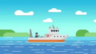 New Zealand Trawling Explainer