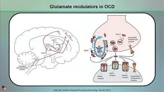 Glutamatergic Interventions in OCD