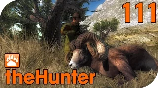 THE HUNTER #111 - DICKHORNSCHAFE auf TIMBERGOLD TRAILS! 🐗 || Let's Play The Hunter || German