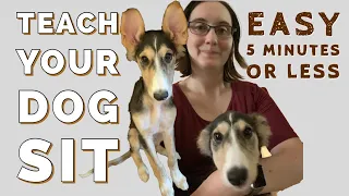 How to Teach Your Dog to Sit in Less Than 5 Minutes | The Easiest Way to Teach Sit | Puppy Obedience