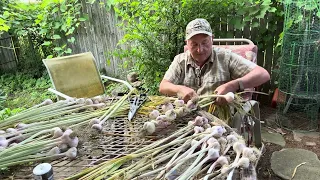 Garlic Season