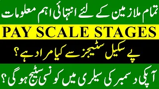 BPS Stages | Basic Pay Scale Stages | Pay Scale Chart Stages | Pay Stage after Annual Increment