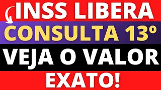 🔴 INSS LIBERA CONSULTA DO 13º SALÁRIO + SALÁRIO - VEJA COMO SABER O VALOR EXATO - ANIELI EXPLICA