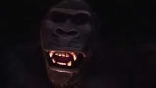 The King Kong Encounter 2008 HD