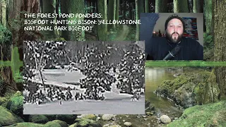 Bigfoot Hunting Bison in Yellowstone National Park