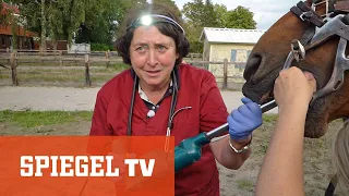 Frau Doktor und das liebe Vieh: Die Tierflüsterin von Ostfriesland | SPIEGEL TV