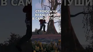 Типичный Раст Rust