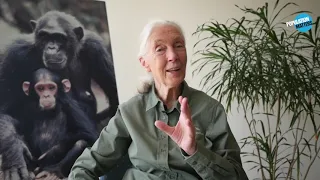 Jane Goodall @ Population Matters Conference 2019