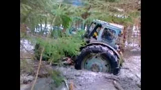 tractor in forest, traktors mežā
