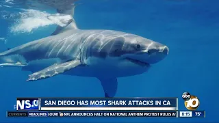 San Diego has most shark attacks in California