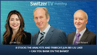 8 stocks the analysts and Tribeca’s Jun Bei Liu like! + Can you bank on the banks?