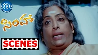 Simha Movie Scenes -  KR Vijaya Requesting Balakrishna || Nayantara