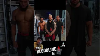 Solo Sikoa’s bloodline is mid asf | #wweshorts #shorts
