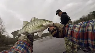 Multi Species Winter Fishing in Tennessee