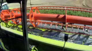 Claas Lexion 670 combine harvester [cab view]