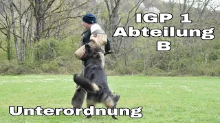 IGP 1 Abteilung B (Unterordnung Prüfung) Fussel of Wolfcubs