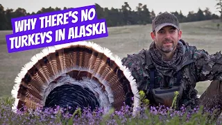 Dave Owens on the Secret to Turkey Calling