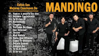 Grupo Mandingo ❤️ Mix Romanticas 2023 ❤️ Exitos Sus Mejores Canciones De Grupo Mandingo ❤️