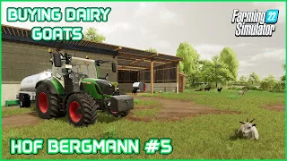 Buying Goats, Selling Cheese and Apples - Hof Bergmann #5 - Farming Simulator22 Timelapse