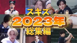 【日本語字幕】スキズ2023年総集編【StrayKids/ストレイキッズ/스트레이키즈】