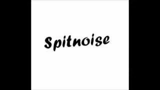 Spitnoise - No Defeat