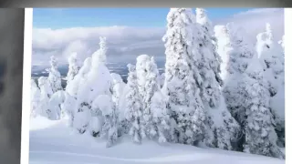 Бесплатно новогодние песни   Кружит метелица, поёт