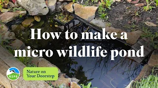 How to make a micro wildlife pond | RSPB Nature on Your Doorstep